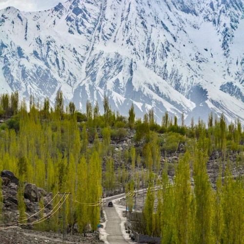 listing-details-carousel